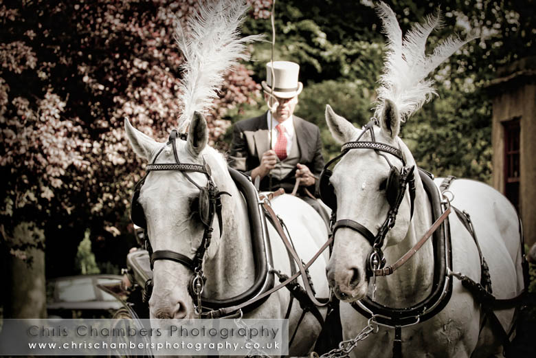 Bride and groom in a horse and carriage
